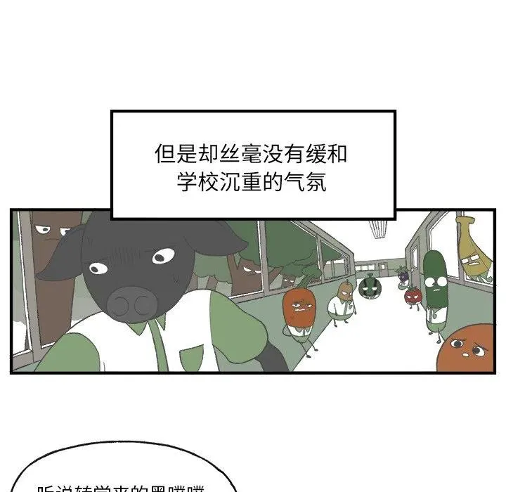 5 第20页
