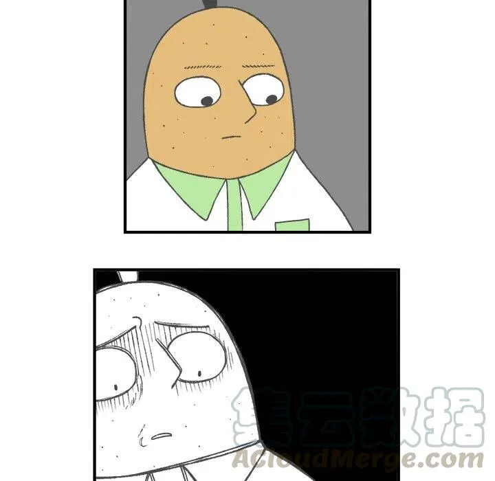 5 第25页