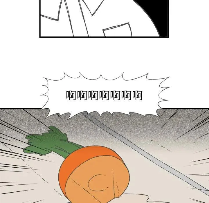 5 第26页