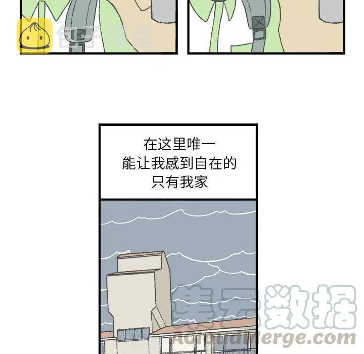 5 第31页