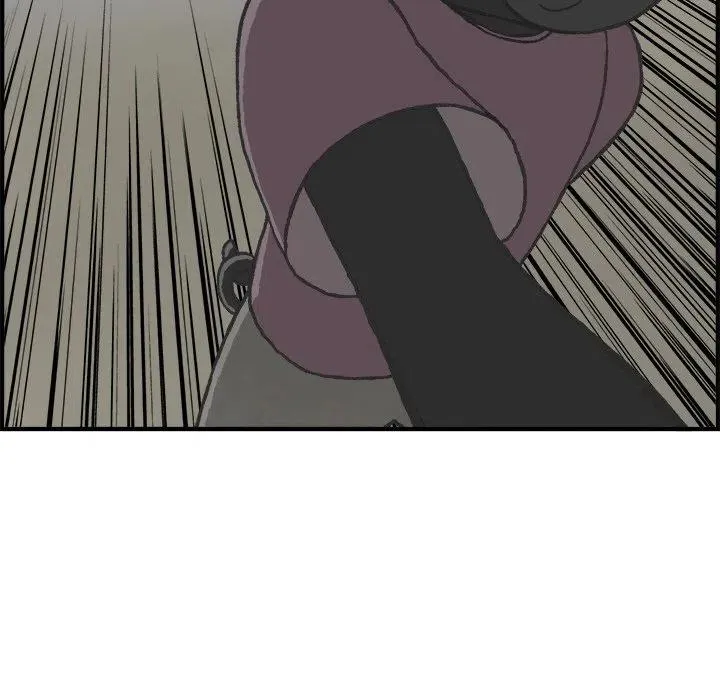 5 第41页