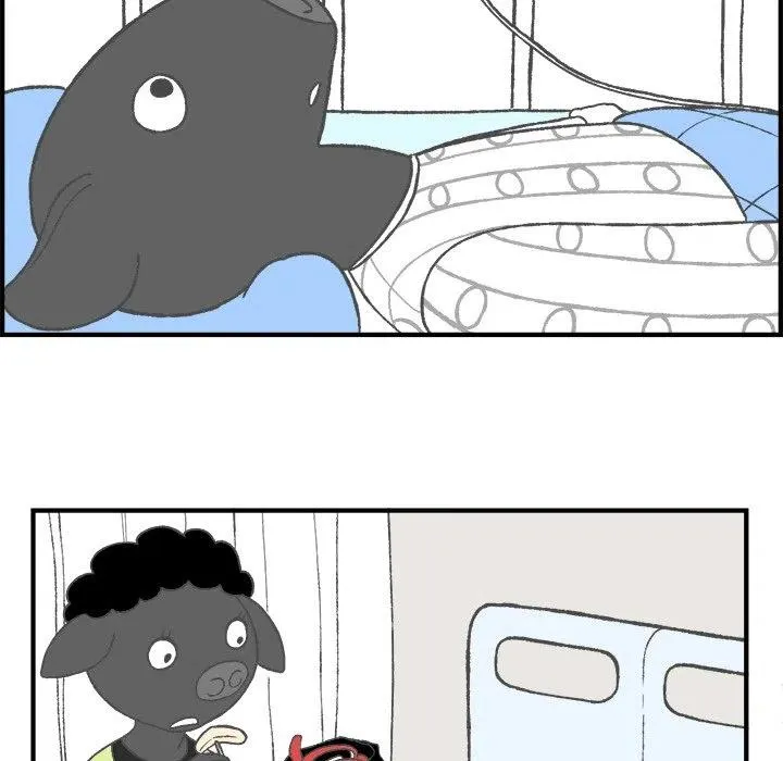 5 第48页