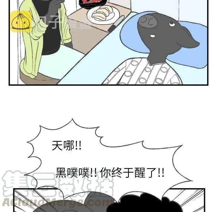 5 第49页