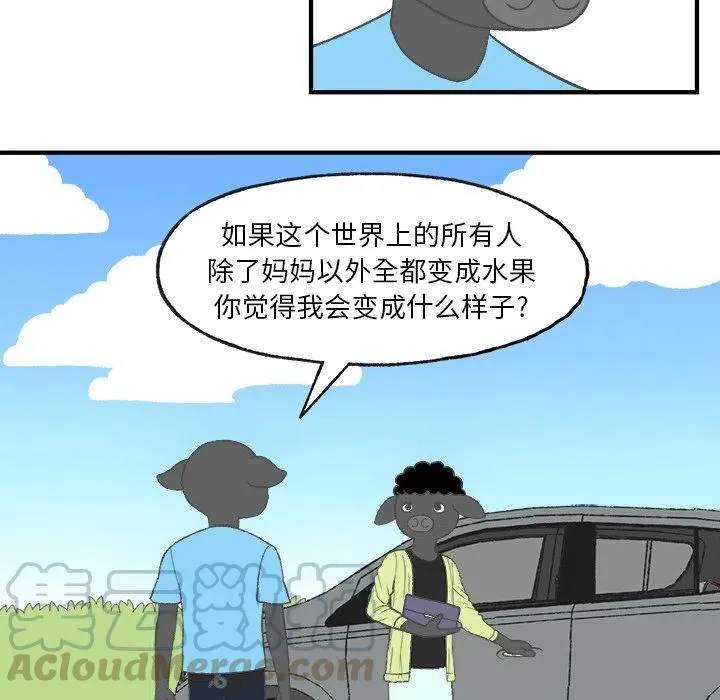 5 第55页