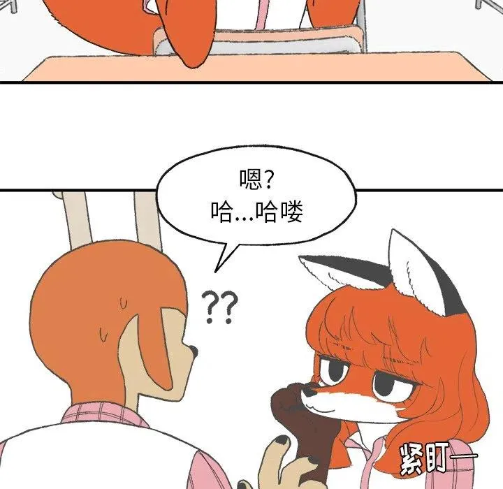 6 第11页