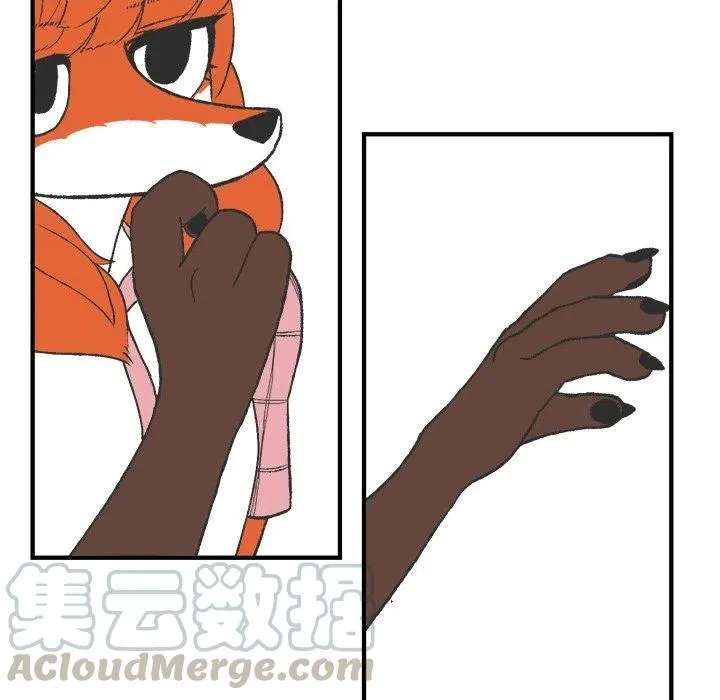 6 第13页