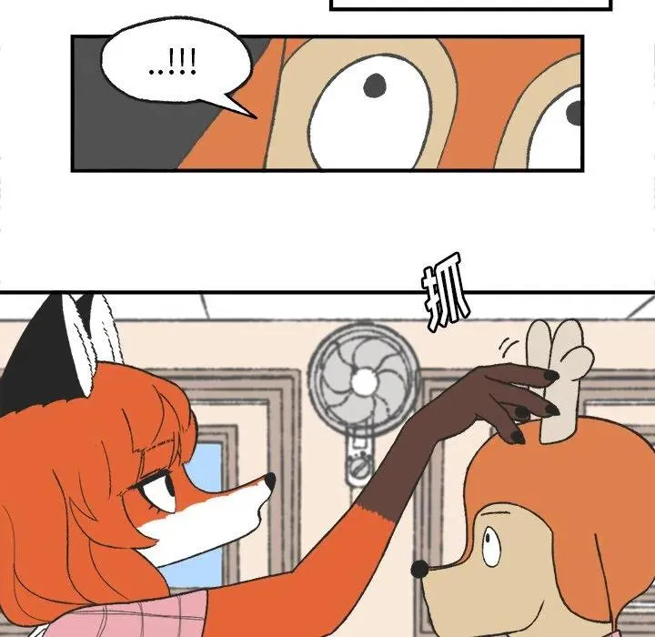 6 第14页
