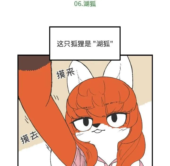 6 第17页