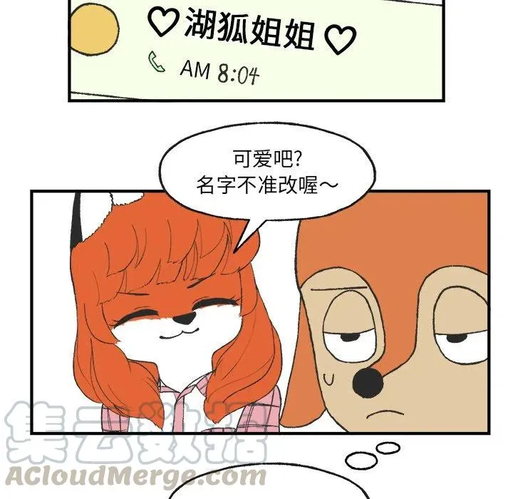 6 第34页