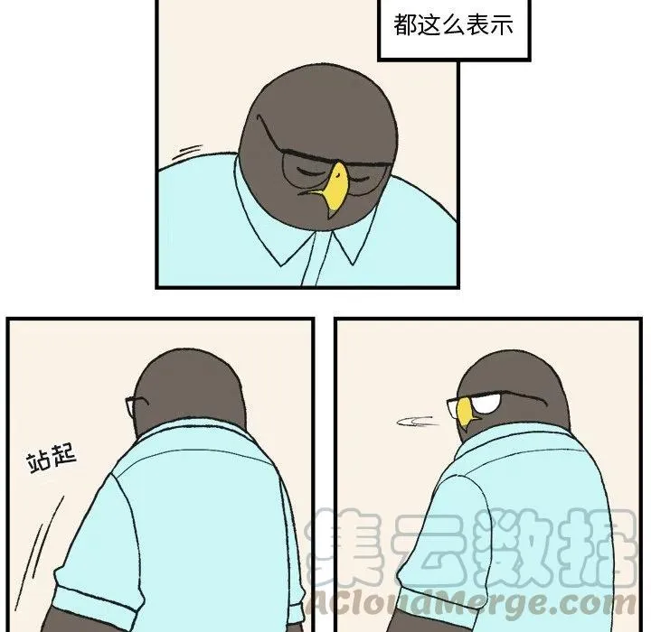 7 第7页