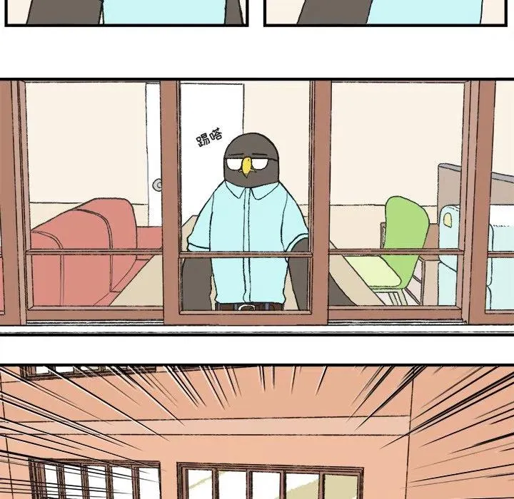 7 第8页
