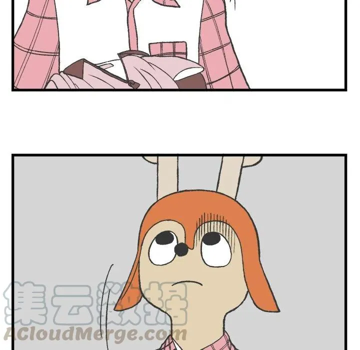 8 第7页