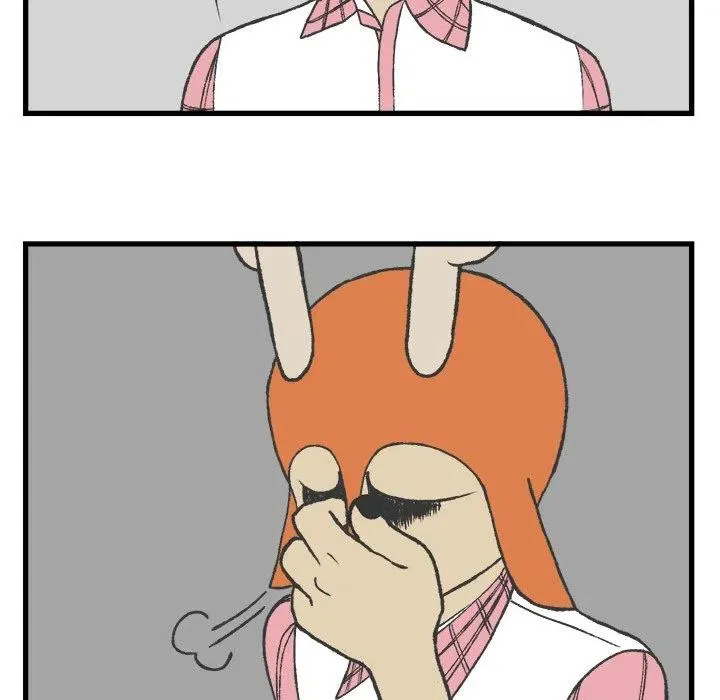 8 第8页