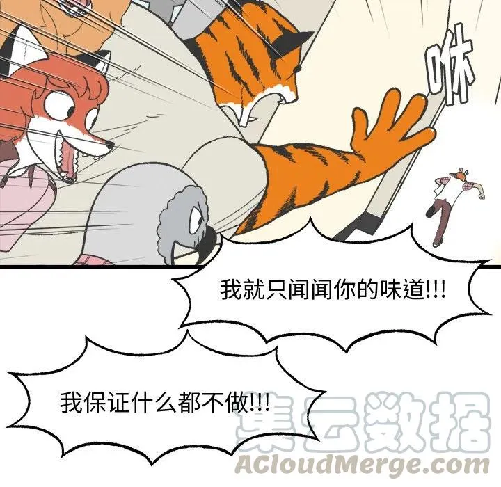 8 第13页