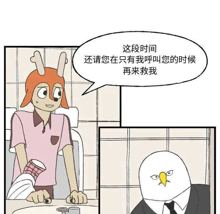 8 第21页