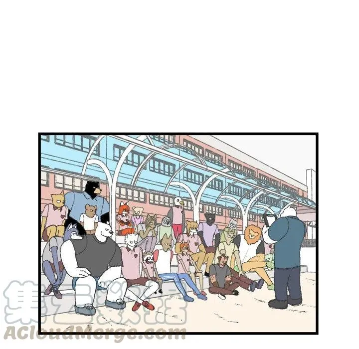 8 第28页