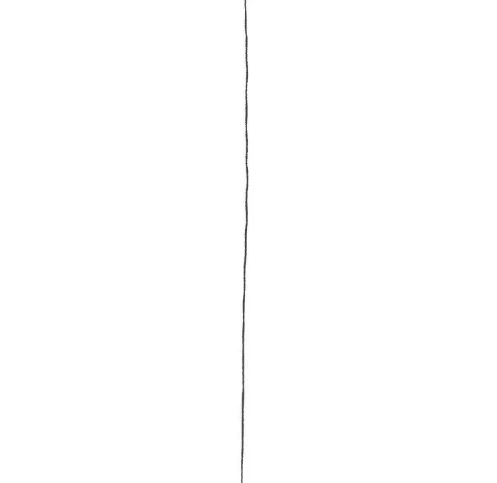 8 第41页