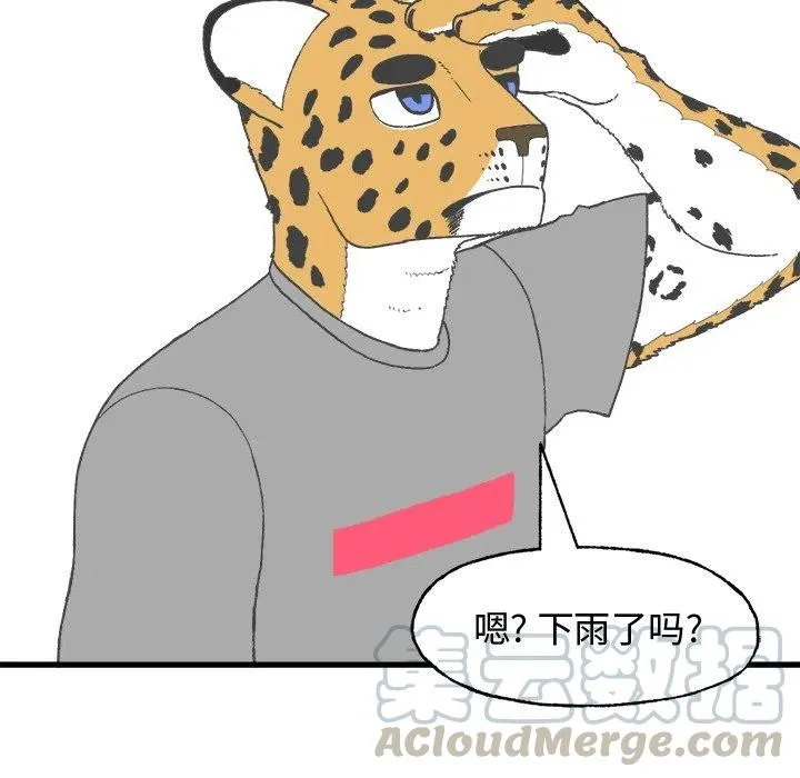 8 第43页