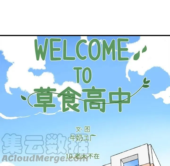 10 第7页
