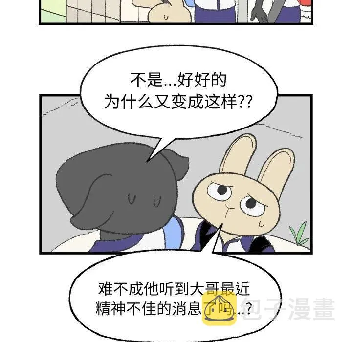 10 第20页
