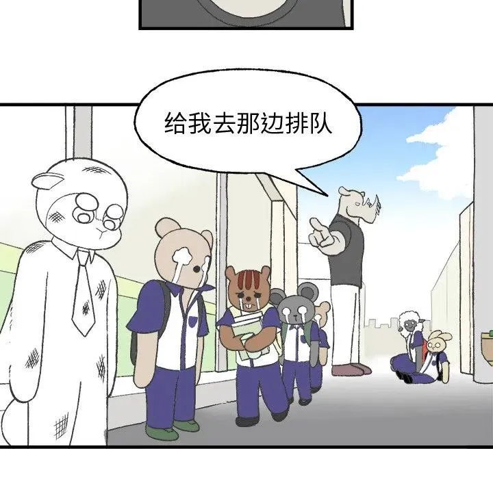 10 第41页