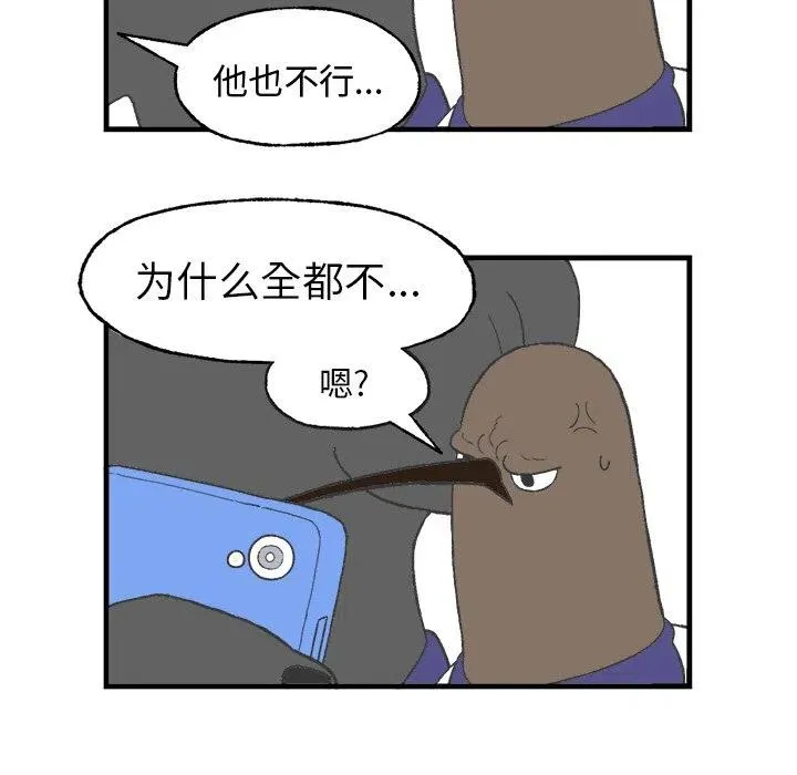 11 第26页