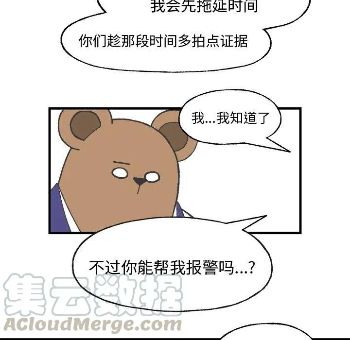 11 第49页