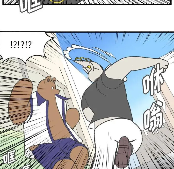 12 第8页