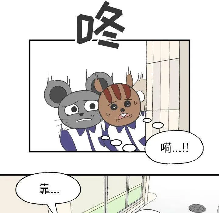 12 第20页