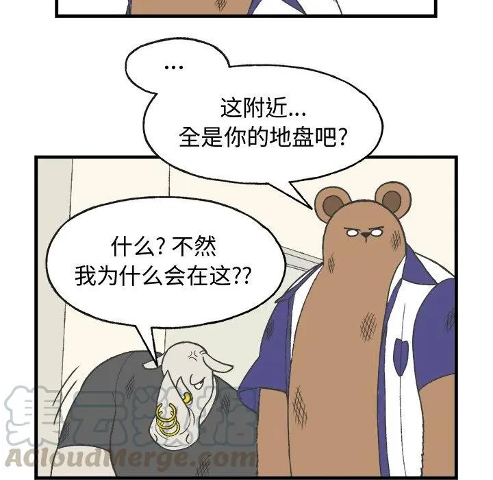 12 第31页