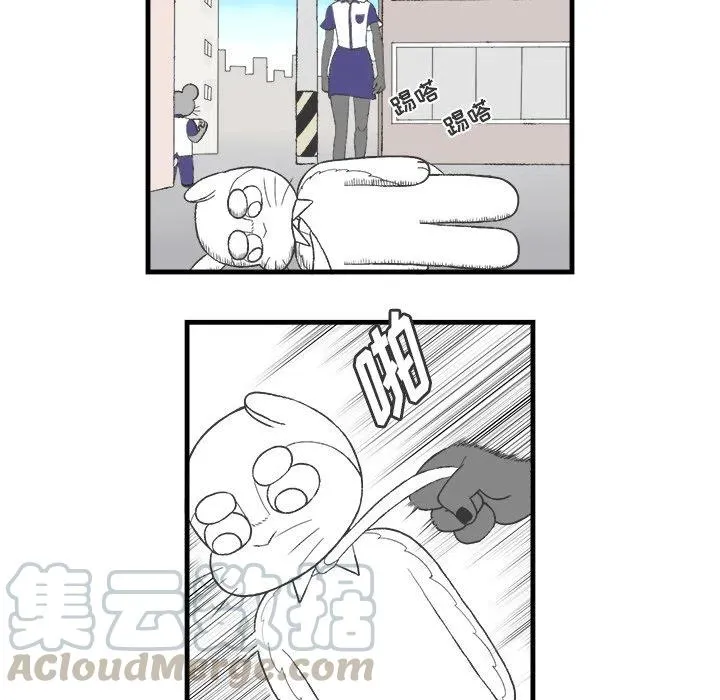 12 第40页
