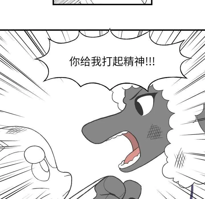 12 第41页