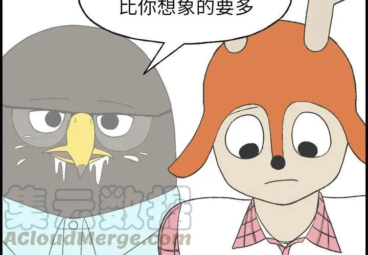 13 第4页
