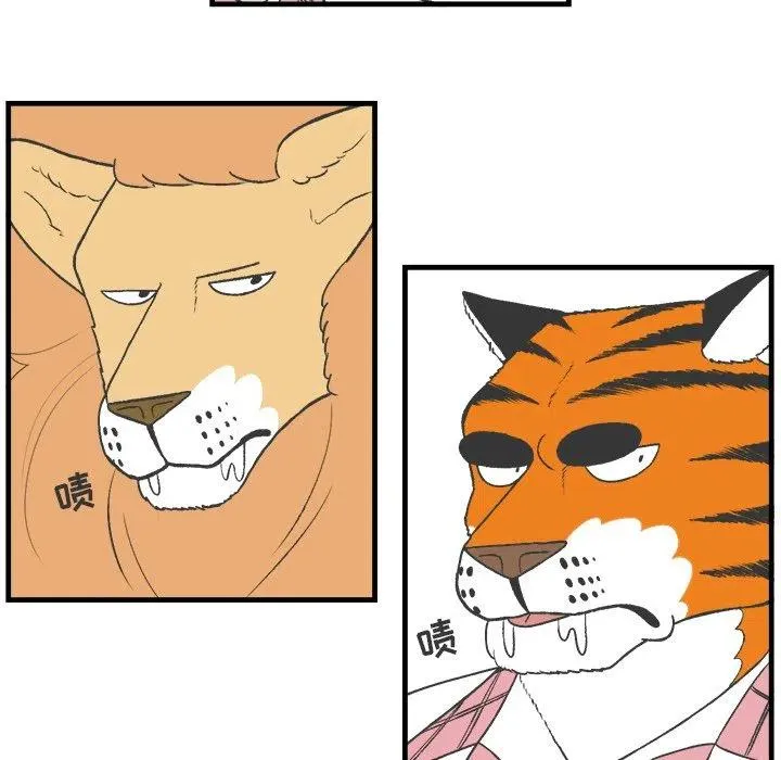 13 第6页