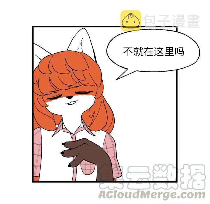 13 第10页