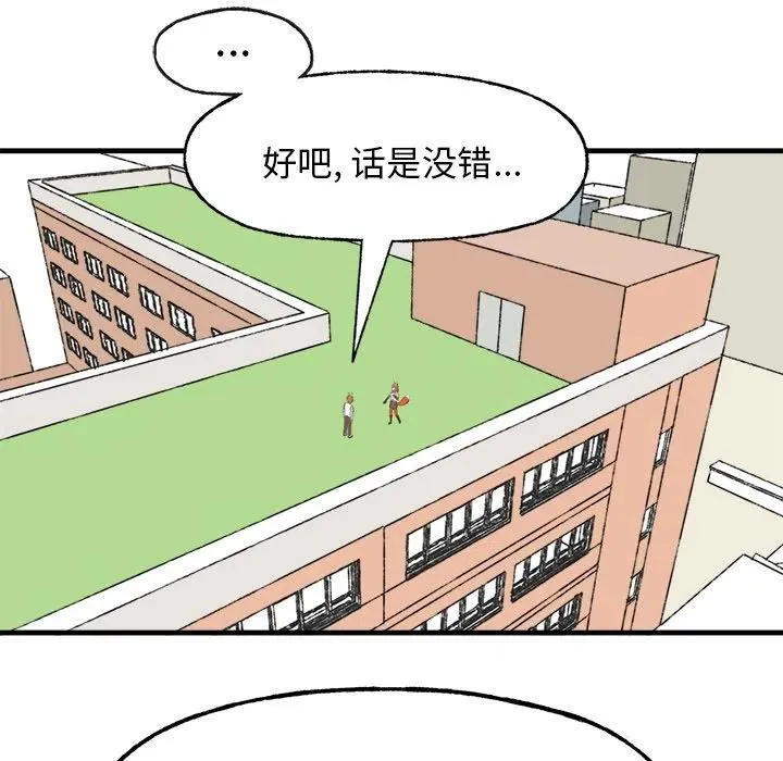 13 第11页