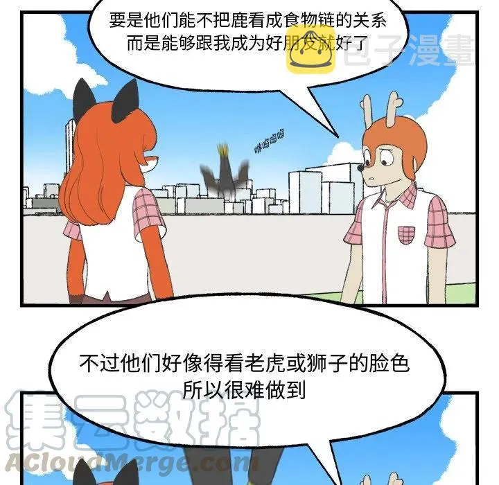 13 第13页