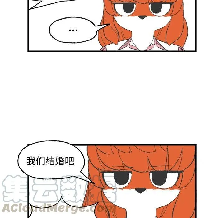 13 第25页