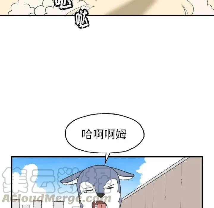 13 第31页