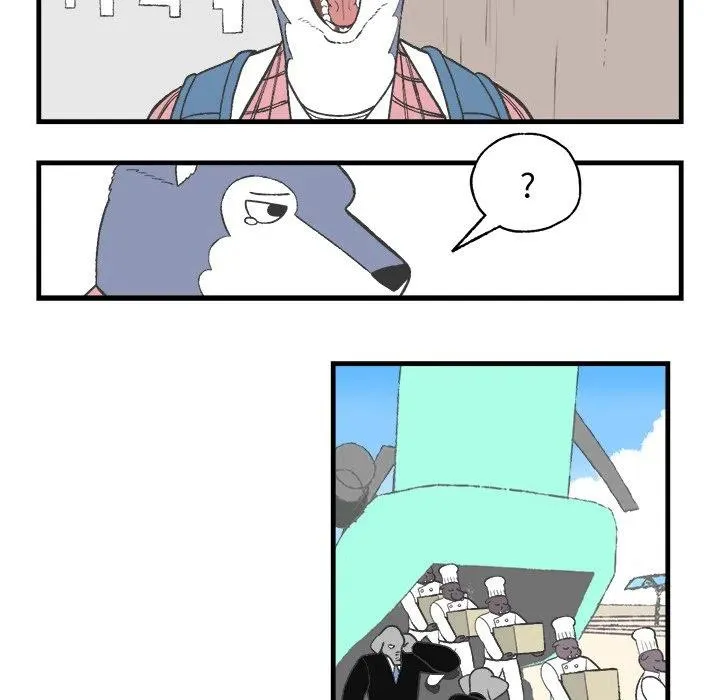 13 第32页