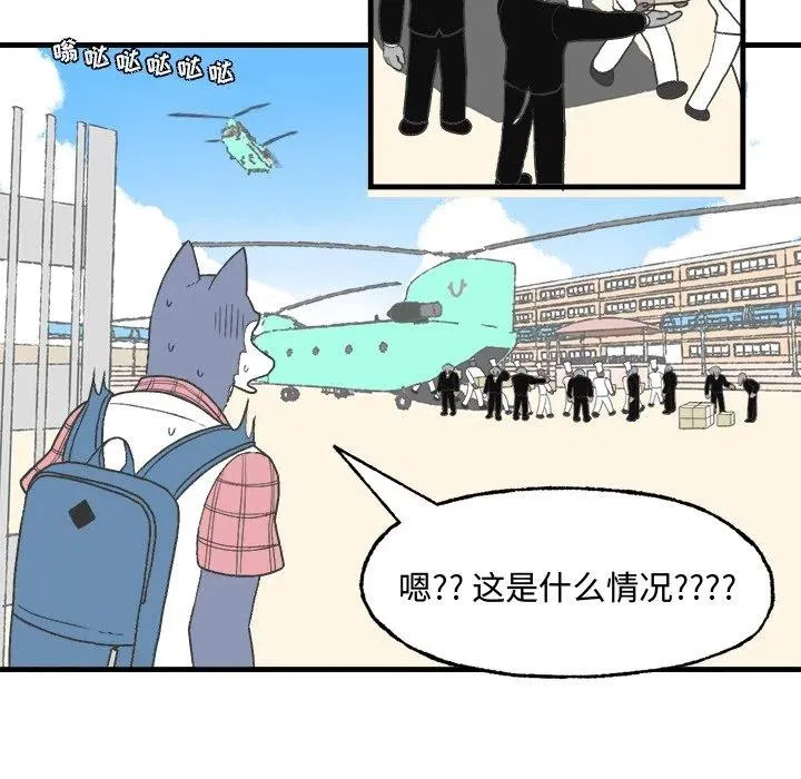 13 第33页