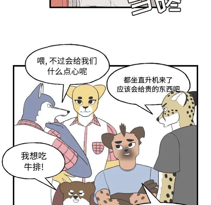 13 第41页