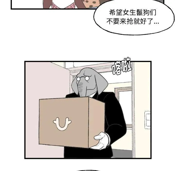 13 第42页