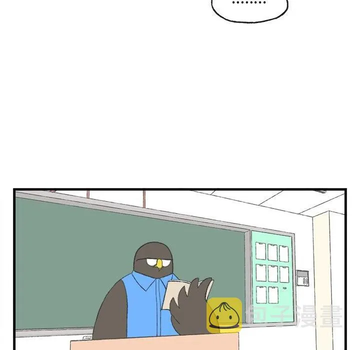 13 第48页