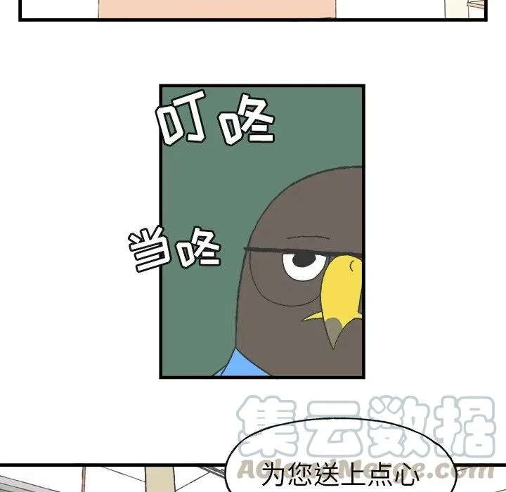 13 第49页