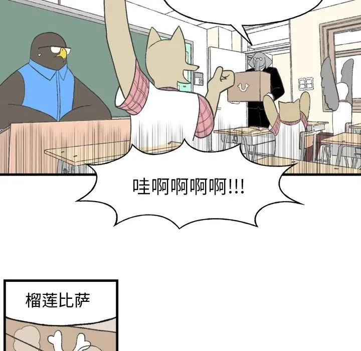 13 第50页