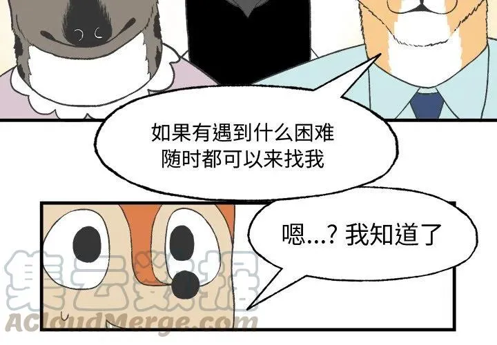 14 第4页