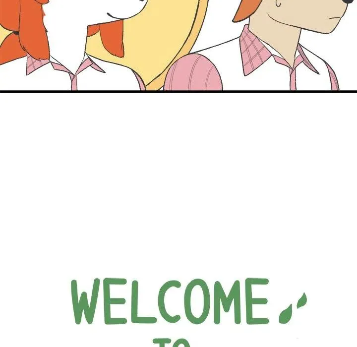 14 第8页