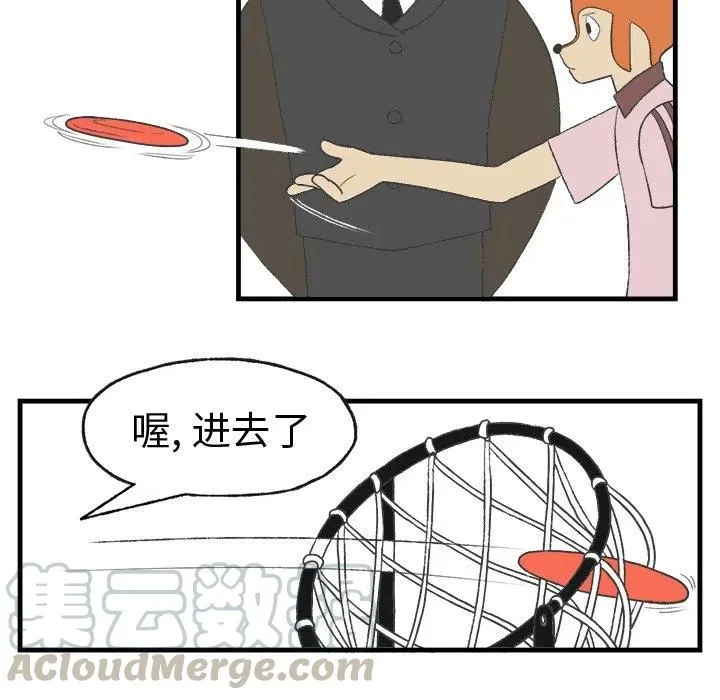 14 第13页
