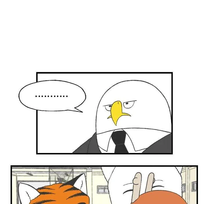 14 第17页